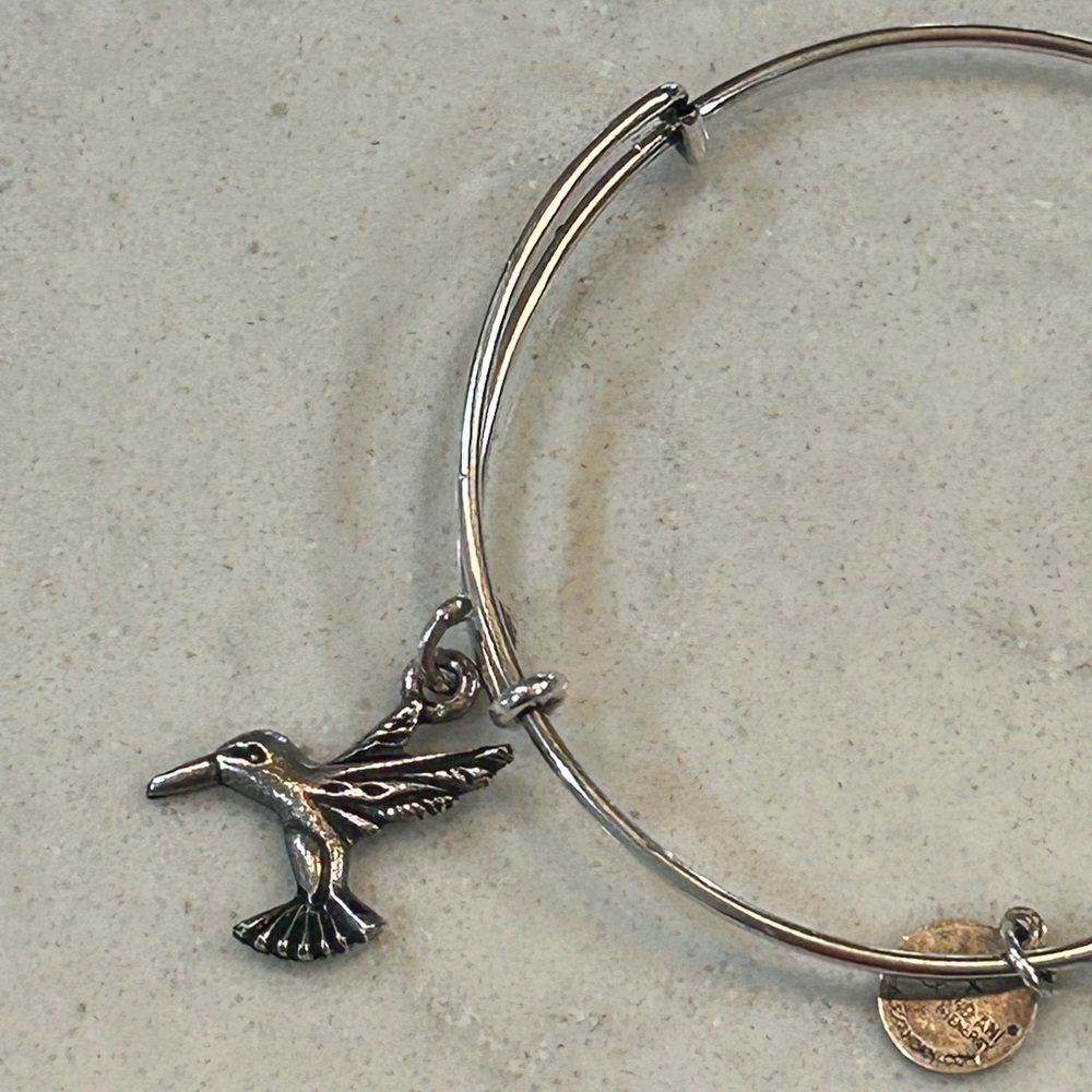 Alex and Ani Humminbird bangle adjustable bracelet silver - Picture 5 of 5